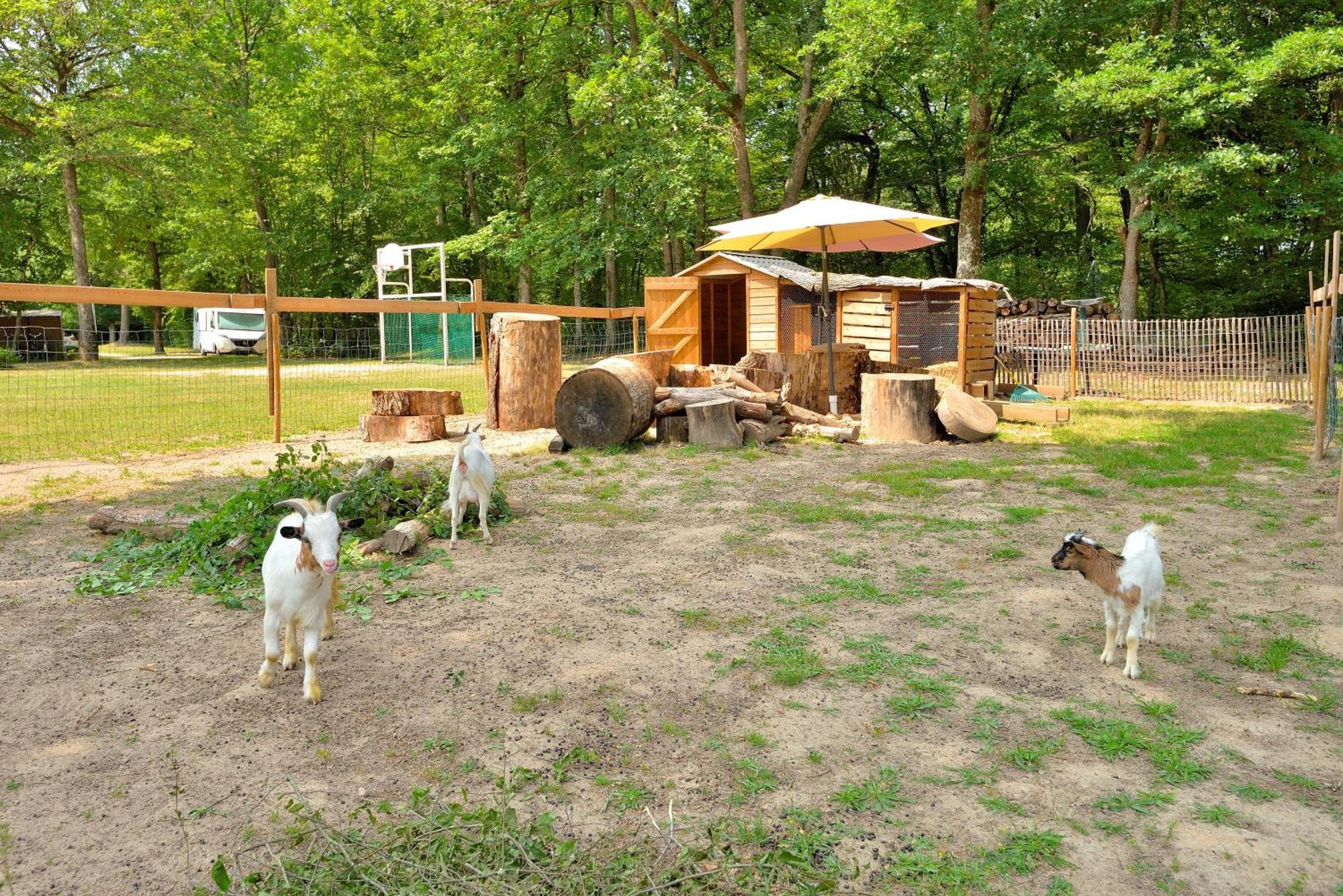 Camping Etang De La Vallee Combreux Kültér fotó